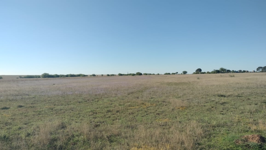 Commercial Property for Sale in Bloemfontein Rural Free State